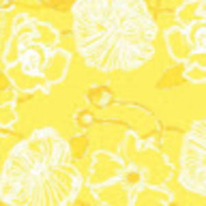 Meet your Posher, Hana